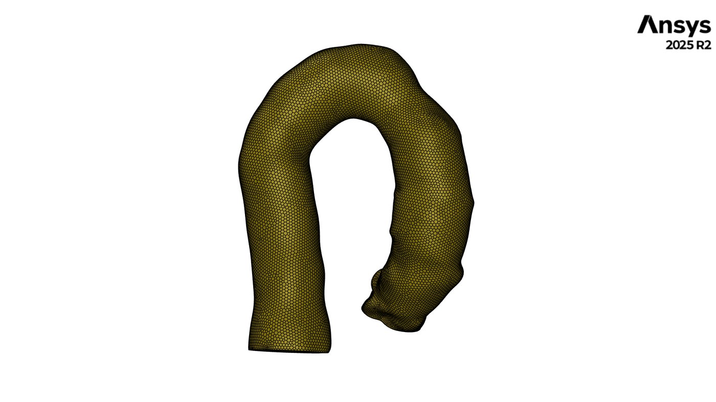 Healthy geometry, full mesh view