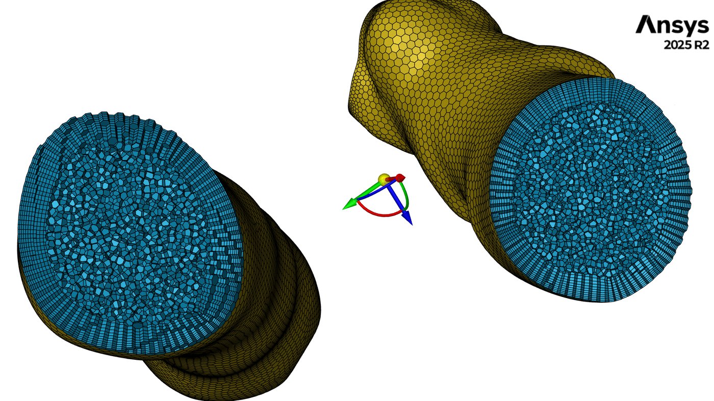 Healthy geometry, internal cut view
