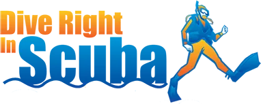 Dive Right In Scuba logo