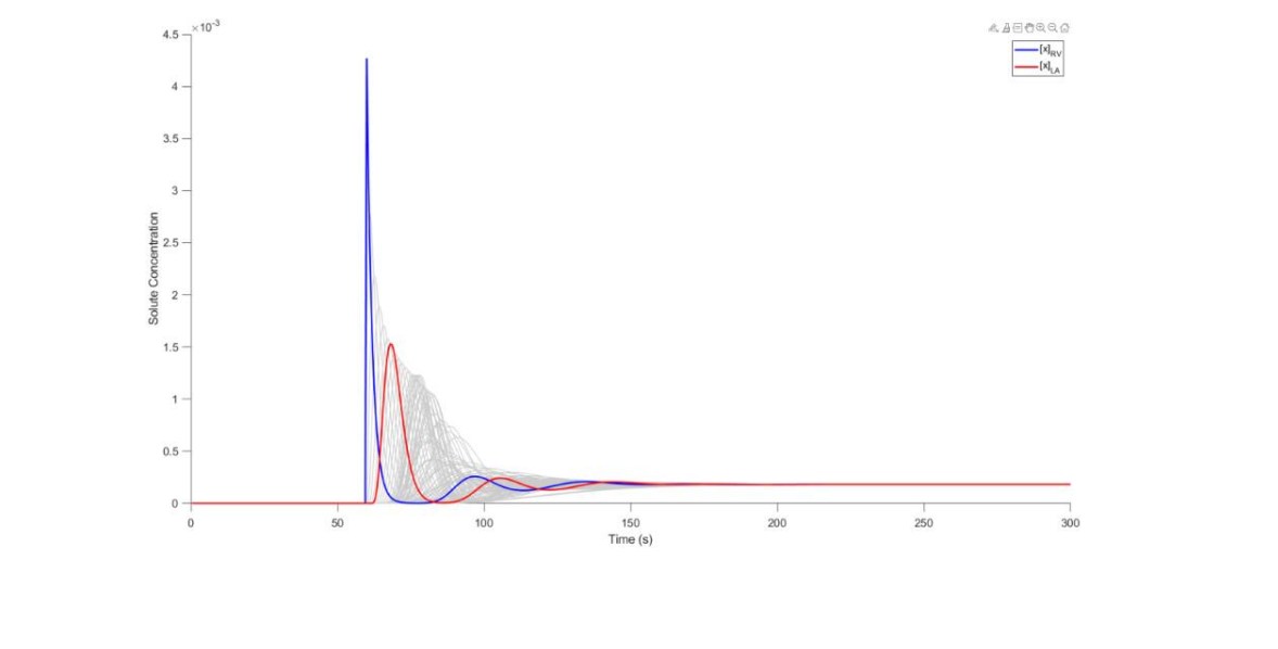 Solute concentration over time across all compartments for the constant flow condition