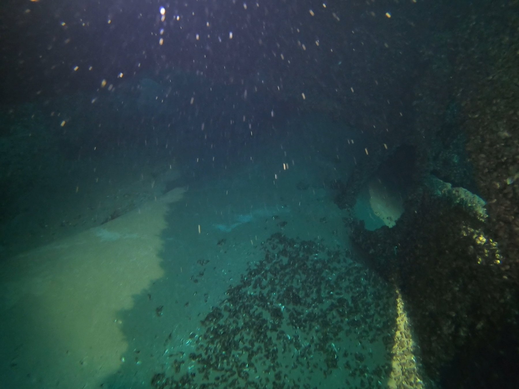 Keith\u2019s Barge survey photograph, frame 01