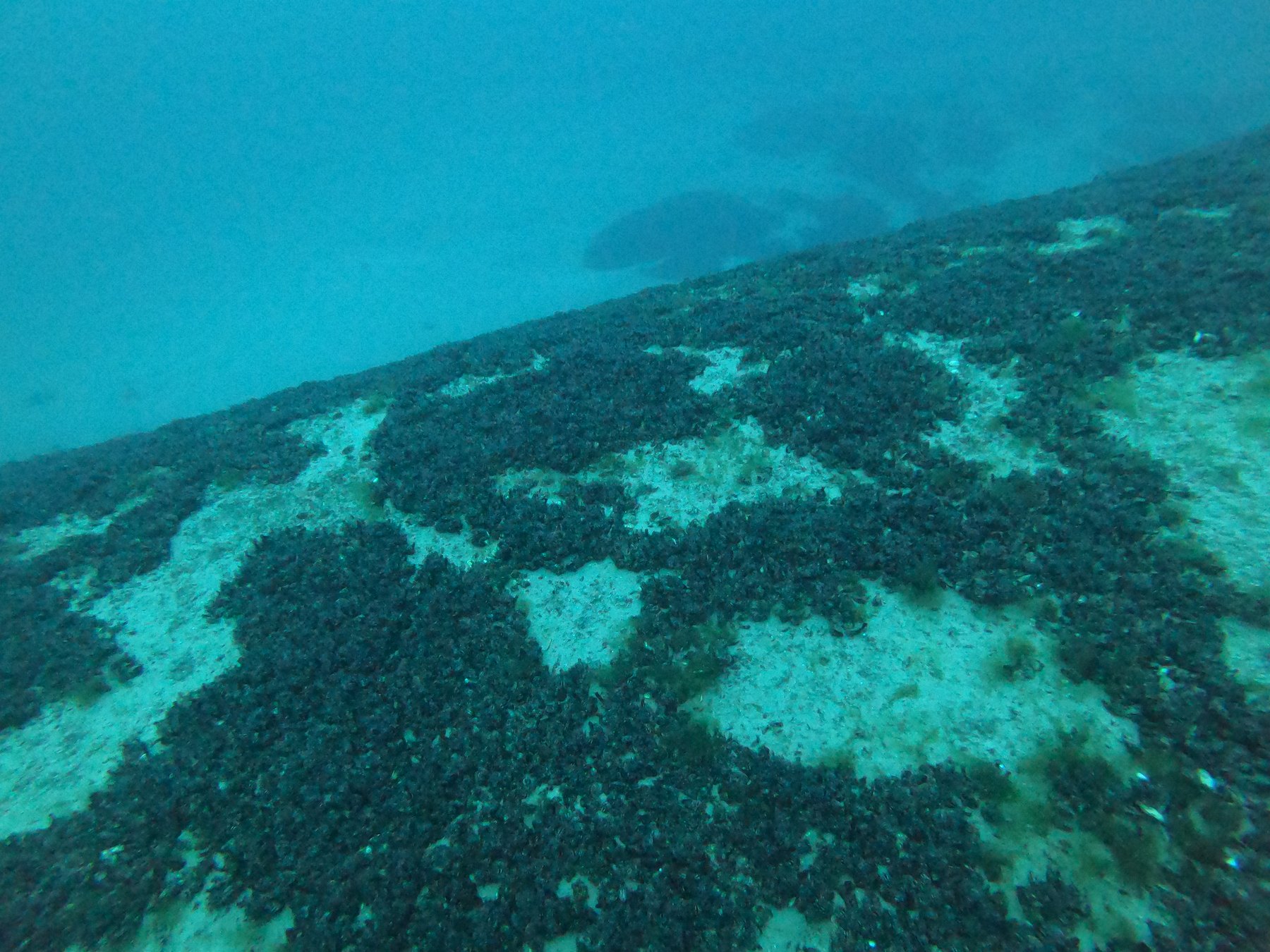 Keith\u2019s Barge survey photograph, frame 07