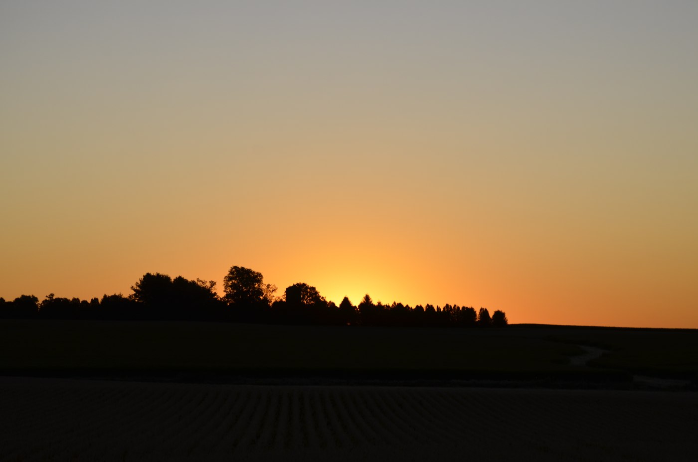 An orange sunset silhouetting a treeline over Iowa farmland