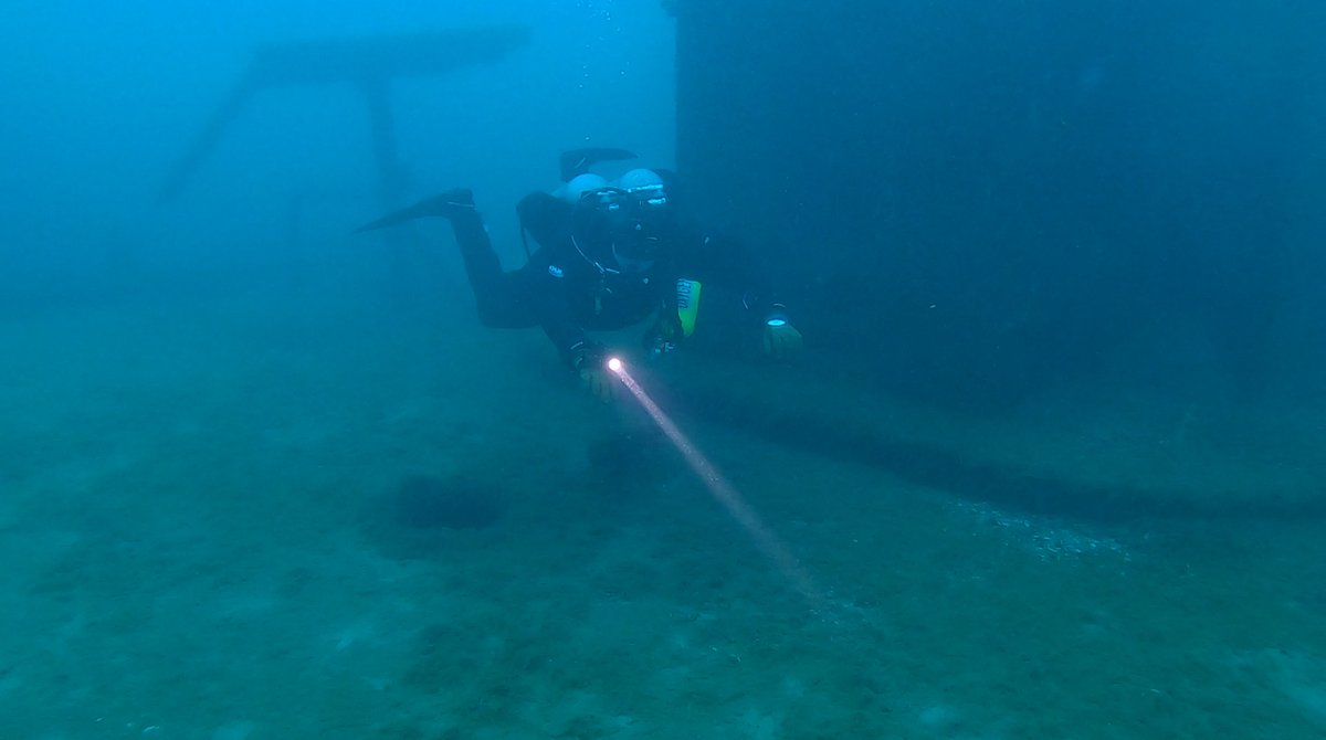 Diver exploring a large wreck structure