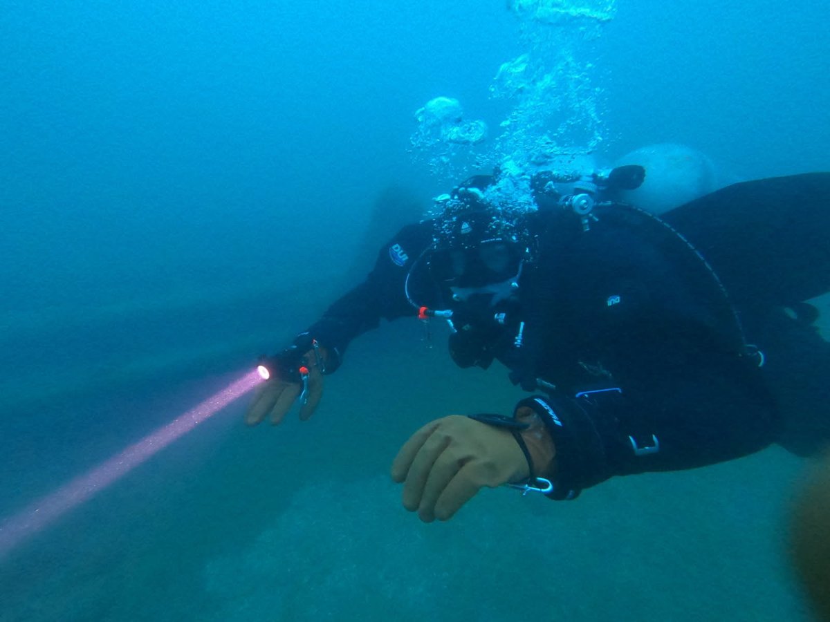 Diver descending with a dive light