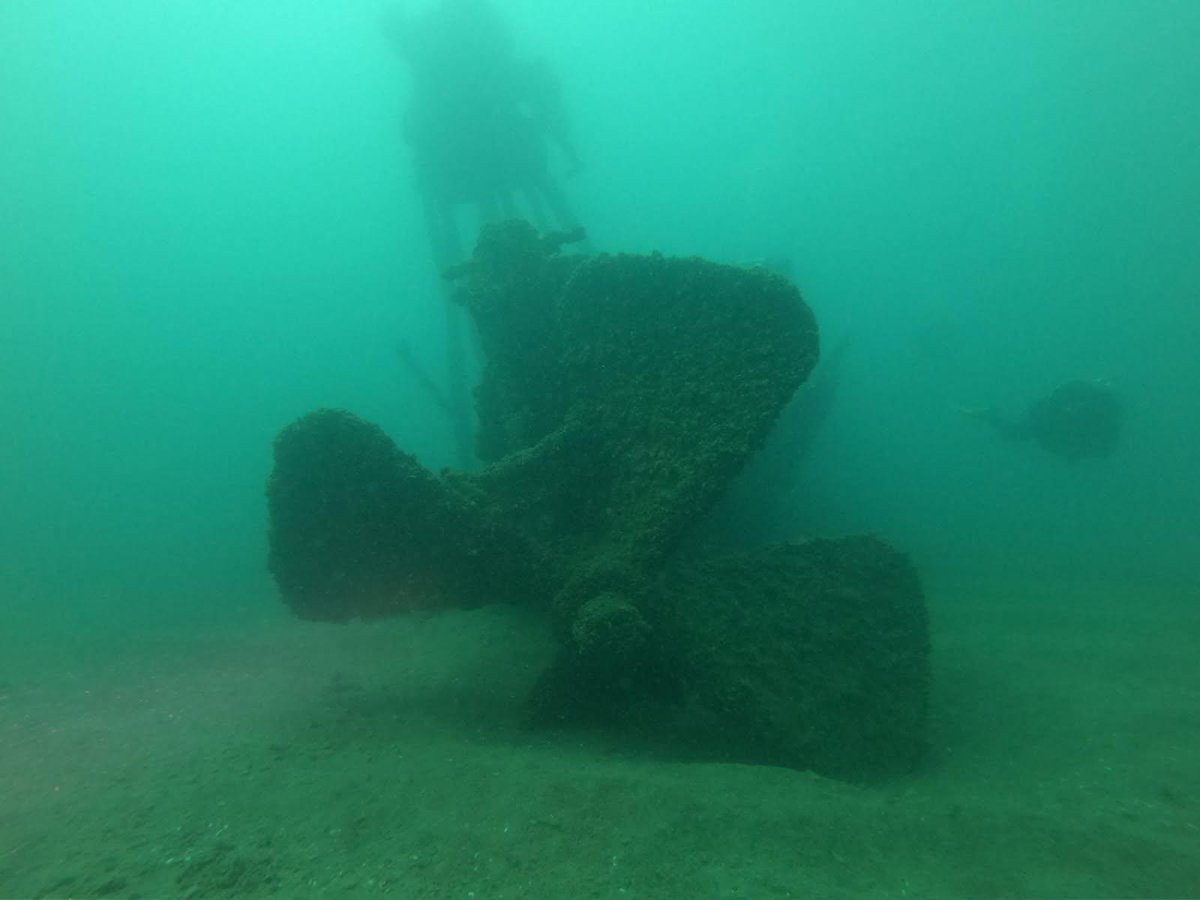 A wreck propeller resting on the lakebed