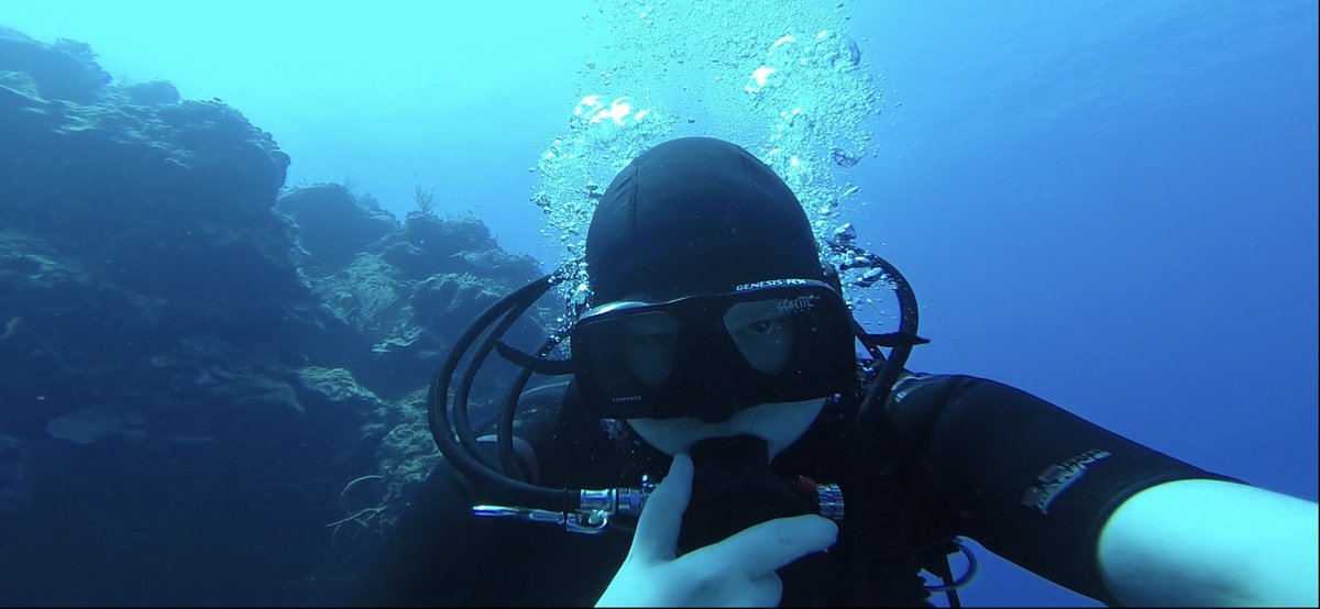Diver selfie along a tropical reef