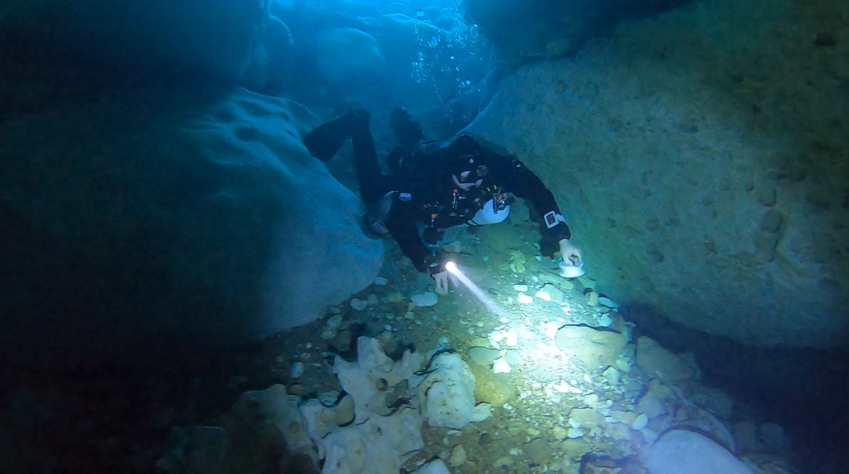 Diver shining a flashlight along a rocky cave floor