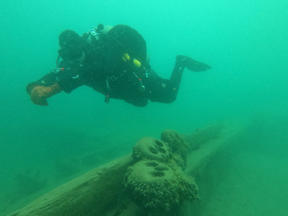 A diver swimming above a mussel-encrusted wreck deck rail