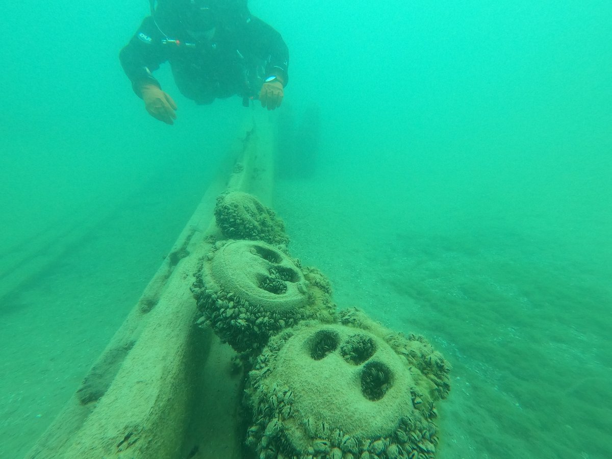 A diver reaching toward mussel-encrusted deadeyes on a wreck rail