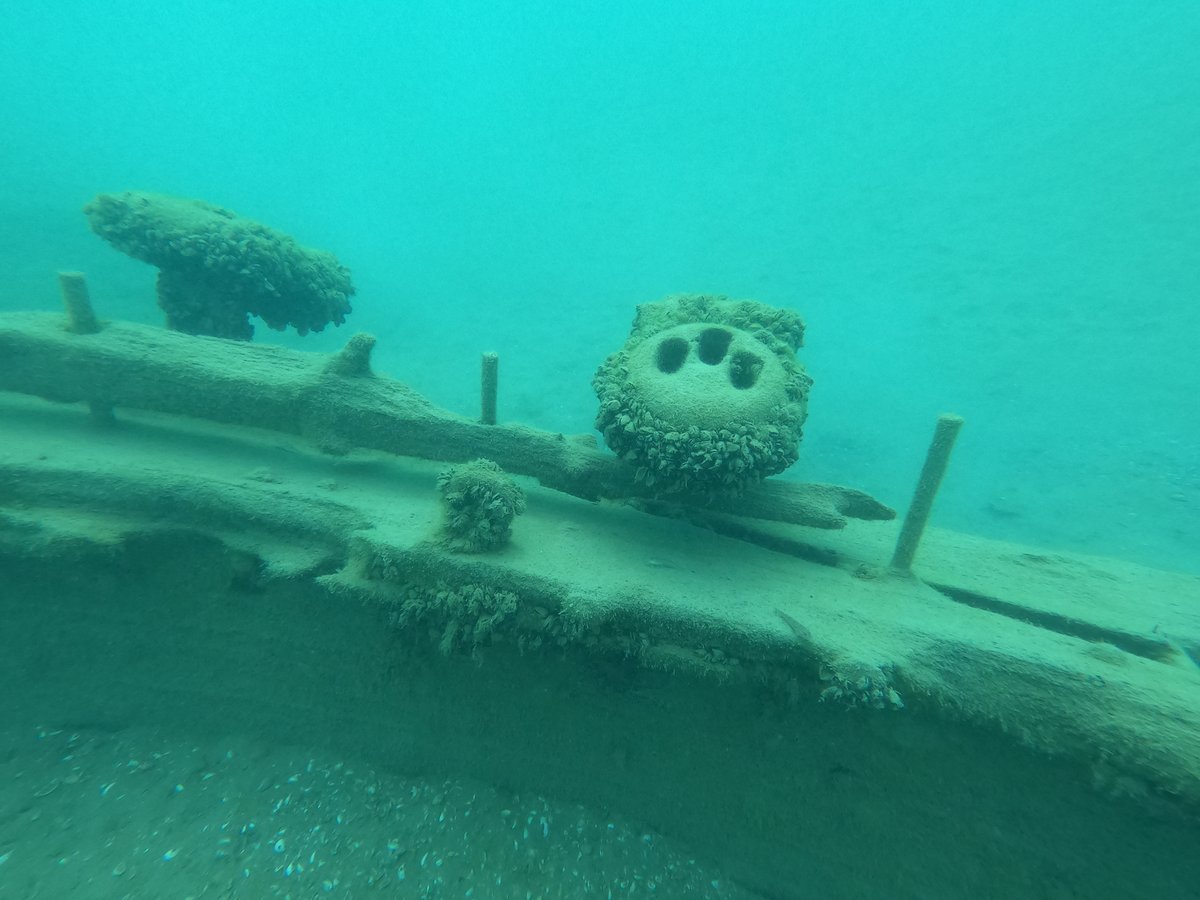 Mussel-encrusted deadeyes along a shipwreck's rail