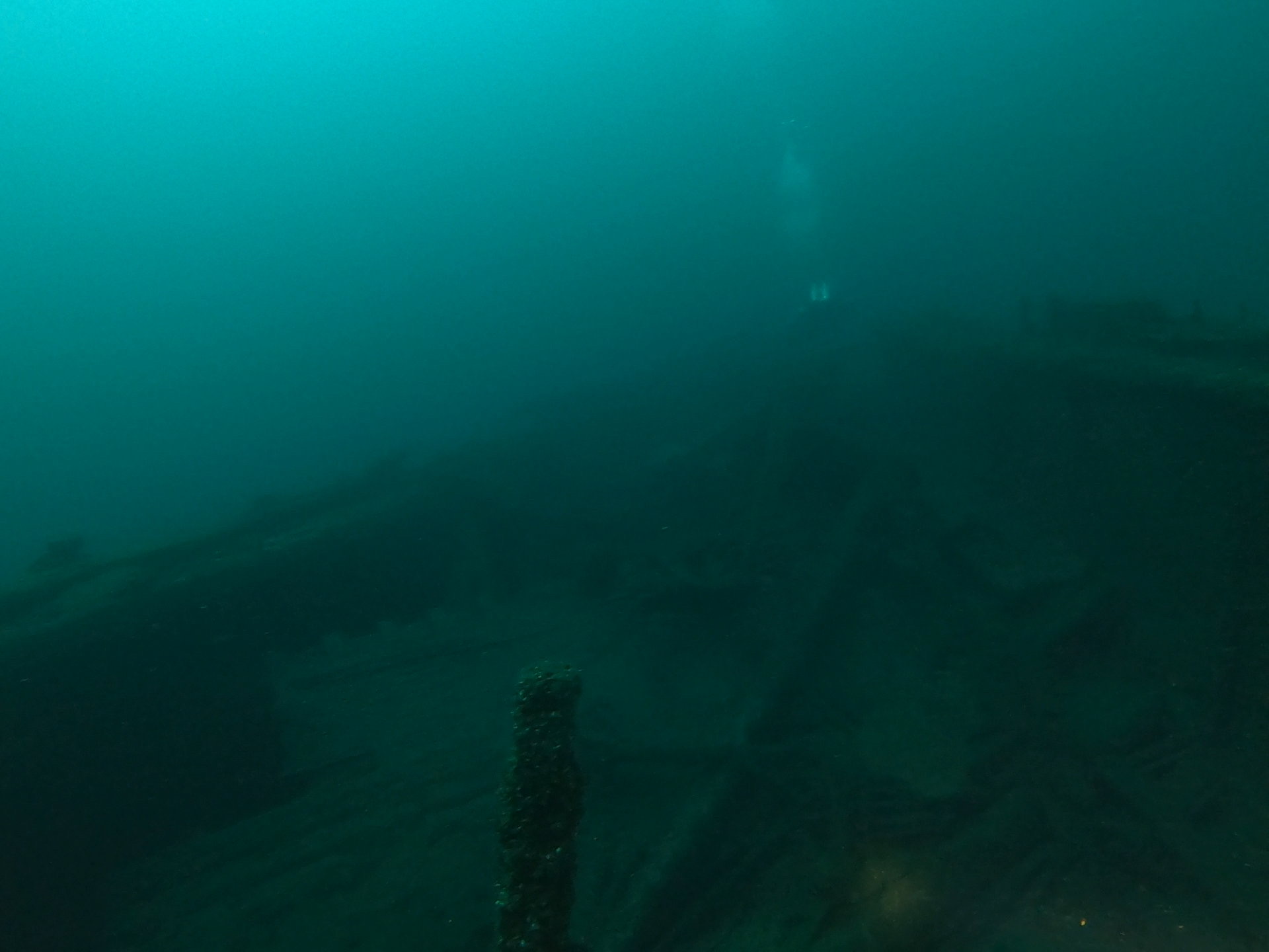 Bud’s Steamer, photo 08