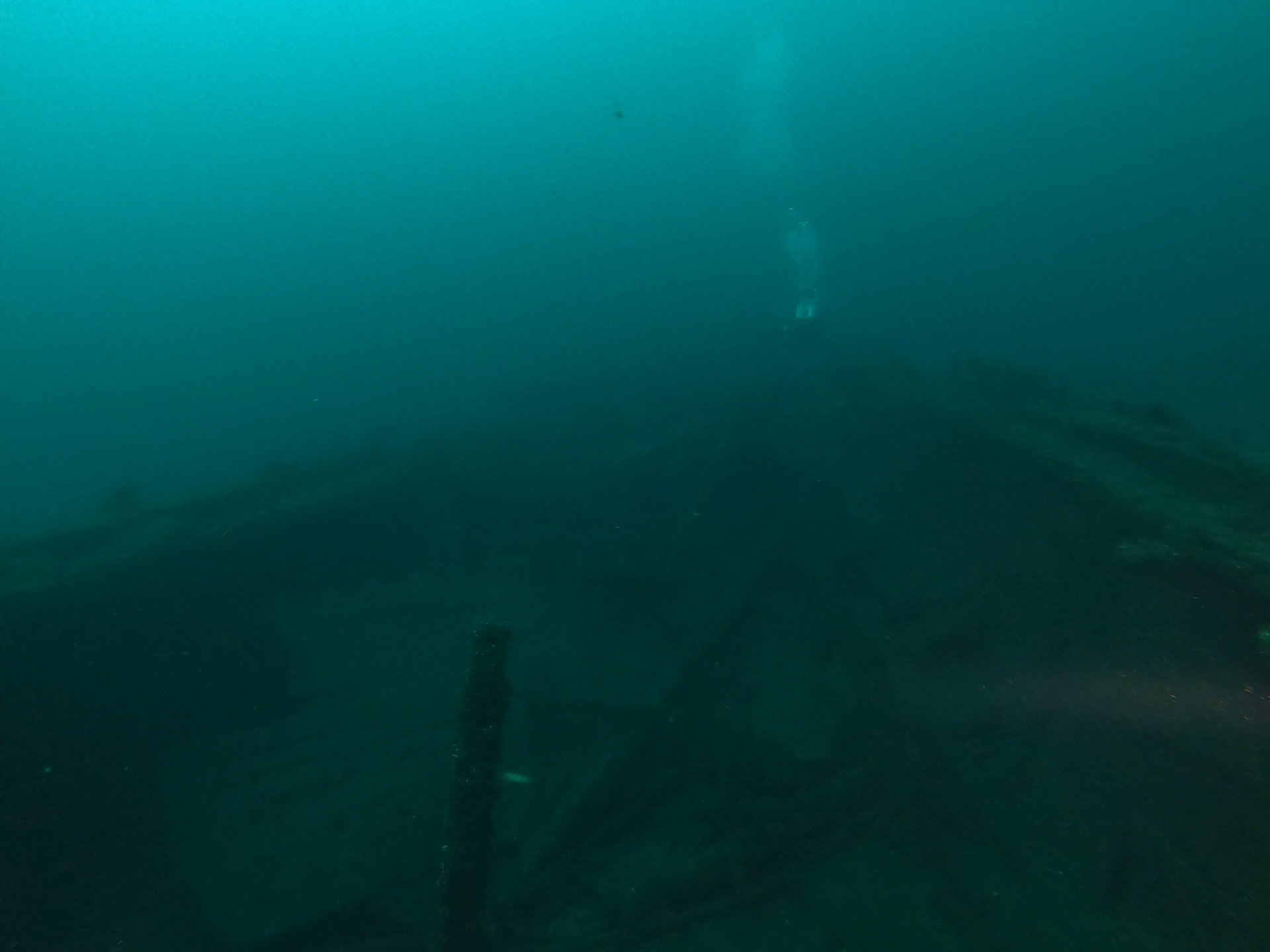 Bud’s Steamer, photo 17