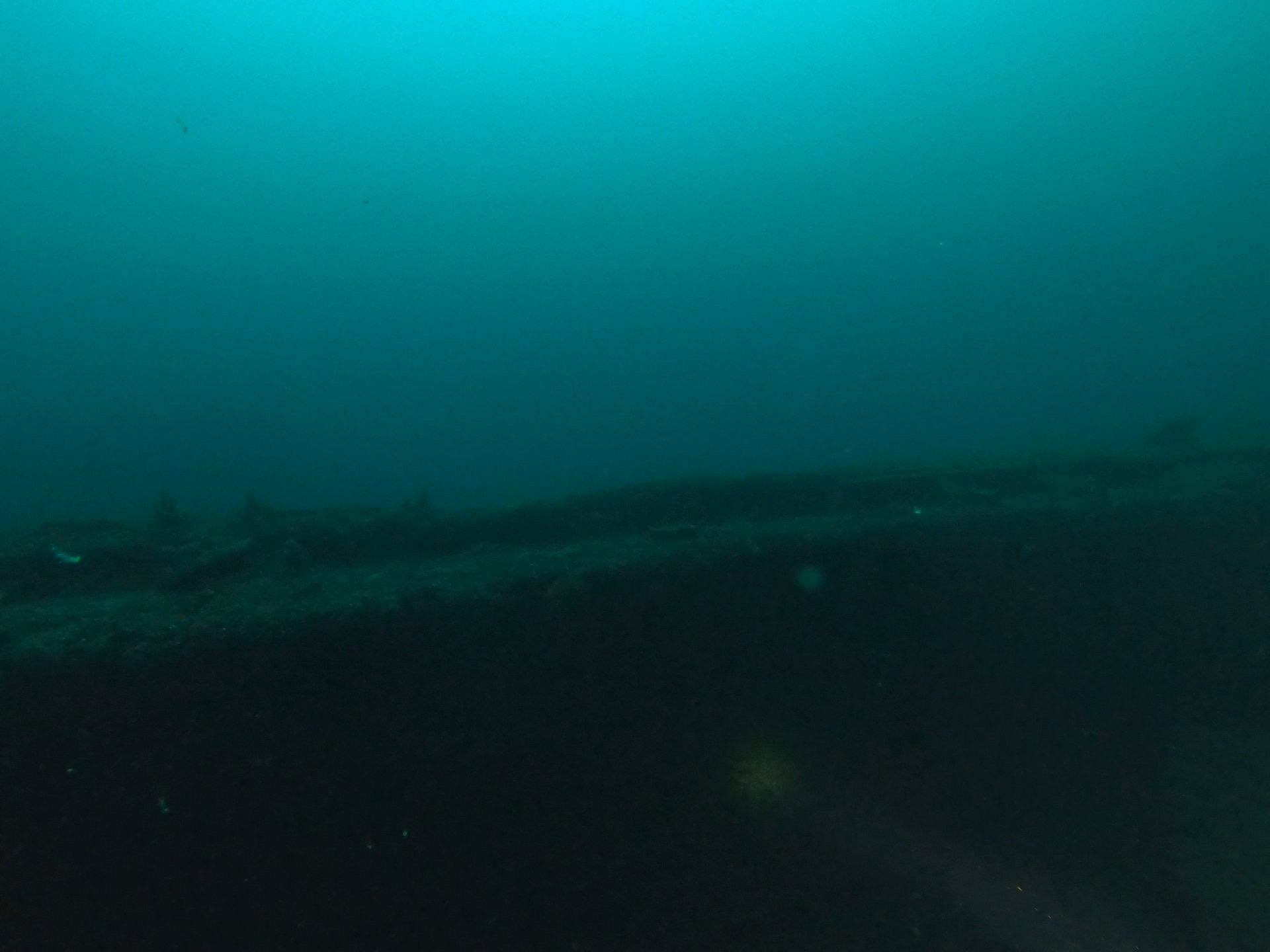 Bud’s Steamer, photo 18