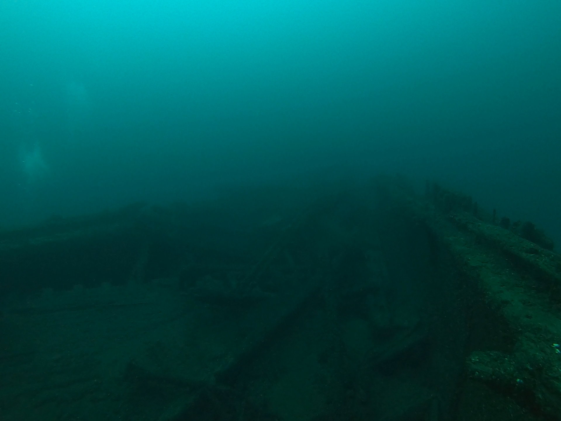 Bud’s Steamer, photo 19